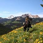 Chilcotin Holidays Guest Ranch logo