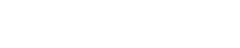 Disney Worldwide Services logo