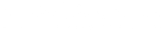 Disney Worldwide Services logo